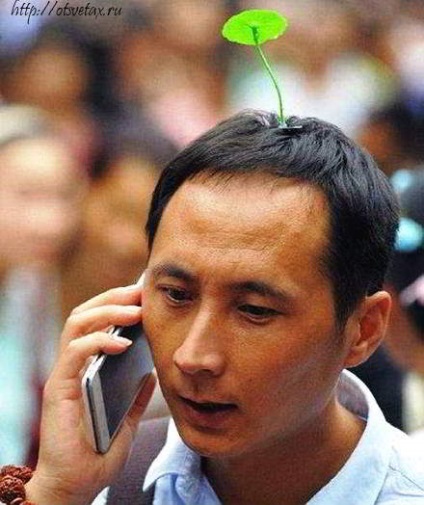 Plante pe capetele chinezilor - nebunie sau capricioasă