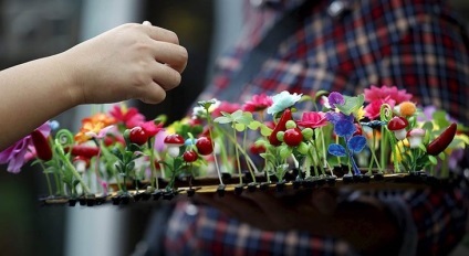 Plante pe cap - o nouă modă în China
