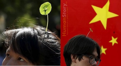 Рослини на голові - нова мода в китаї