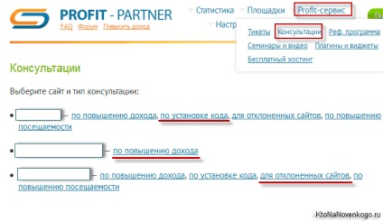 Rețea de publicitate Yandex (rsya) și partener de profit