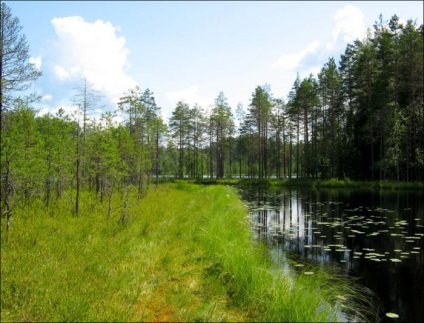 Savage de pescuit în recenzii din Karelia