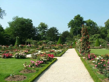 Rózsafüzér bagatell Park (Park) Rózsafüzér Bagatelle park