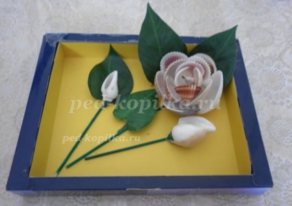 Roses készült kagyló (héj a kezüket) Roses készült kagyló