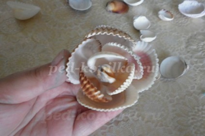 Roses készült kagyló (rózsa a kezét) Roses készült kagyló