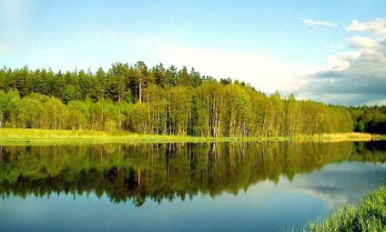 Sanatoriile din Belarus cu tratamentul sistemului musculo-scheletic