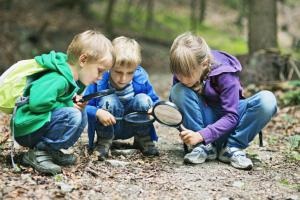 Familia ca instituție socială în sistemul societății