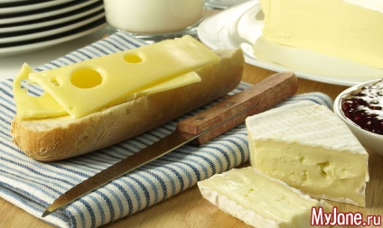 Сирне роздолля - сир, види сиру, корисні продукти, здорове харчування, здоров'я