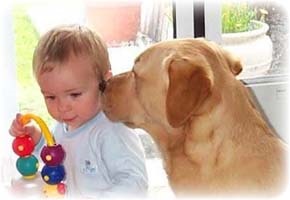 Dogness sensiness () Indispensabilitatea câinelui
