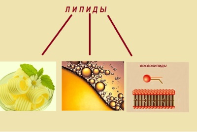 Clasificarea compușilor de lipide ale substanțelor, stratura și funcțiile acestora