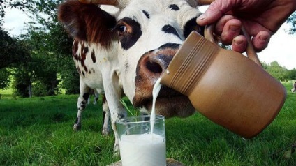 Visul de vis al laptelui visul de a visa la lapte într-un vis