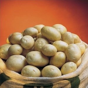 Сорти картоплі голландсько-ірландської насінницької компанії ipm potato, журнал про апк