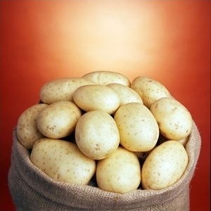 Soiuri de cartofi ale companiei ipm cartof olandez-irlandez, o revista despre apk