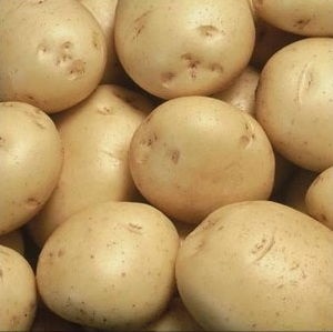 Сорти картоплі голландсько-ірландської насінницької компанії ipm potato, журнал про апк