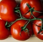Сучасні сорти томатів