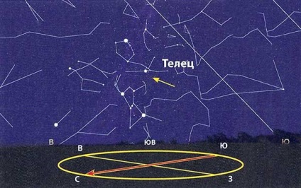Constellation of Taurus - Pagina 2