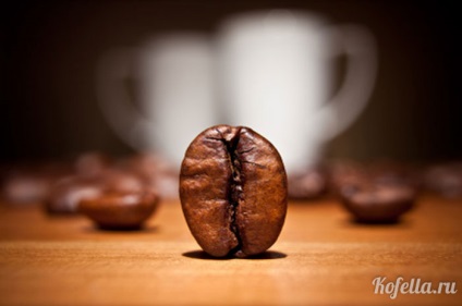 Термін придатності кави в зернах, все про каву