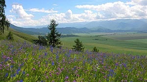 steppe Altai