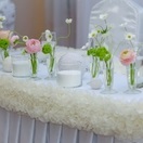 Studio decor de nunta pudra în Saratov preturi, site