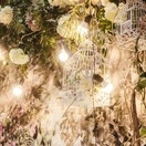 Студія весільного декору pudra в Саратові ціни, сайт