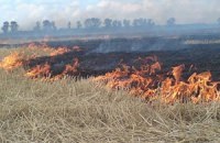 Весілля дочки екс-міністра соцполітики обійшлася в 600 тисяч доларів - портал новин