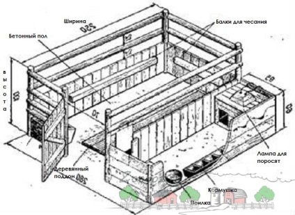 Свинарник на 10 голів своїми руками інструкція, фото і відео