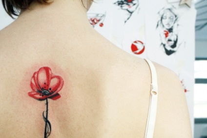 Татуювання мак - значення, фото - тату студія барака