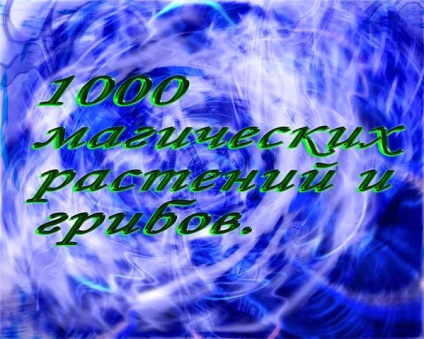 Тема 1000 магічних рослин і грибів