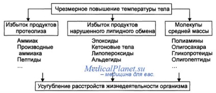 Heat stroke - diagnostic, îngrijire de urgență, tratament