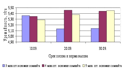 Технологія обробітку твердої озимої пшениці