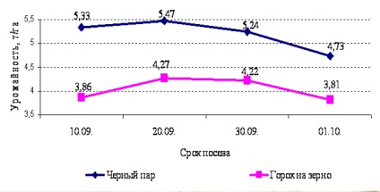 Технологія обробітку твердої озимої пшениці