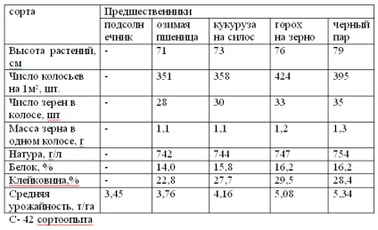 Технологія обробітку твердої озимої пшениці