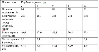 Tehnologia de cultivare a grâului de toamnă solid