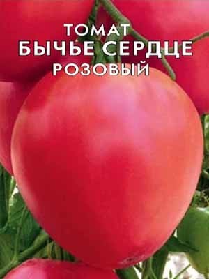 Томати «бичаче серце рожеве» опис сорту і особливості агротехніки