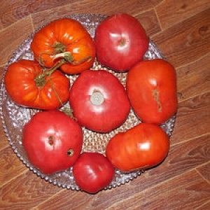 Томат - смугастий смайлик - (10 насіння)