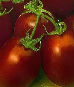 Tomate (tomate) de-barao roșii înalte regale (roșii)