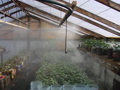 Ködképző az üvegházban