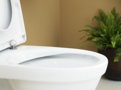Toalete de toaletă gustavsberg tipuri, descriere
