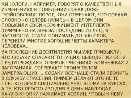 Lecție pe tema salvării câinilor - prezentare la lecția din jurul lumii