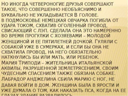 Lecție pe tema salvării câinilor - prezentare la lecția din jurul lumii