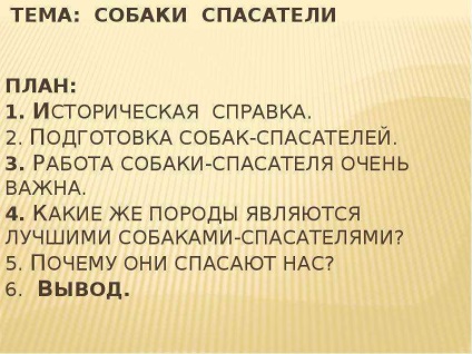 Lecție pe tema salvării câinilor - prezentare la lecția din jurul lumii