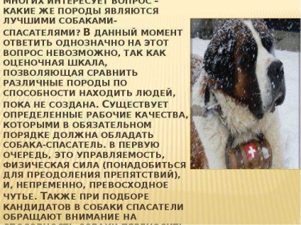 Lecke mentő kutyák - a bemutatása a lecke a világon (a fajtagyőztes mentő kutyák) Lecke mentő kutyák - a bemutatása a lecke a világ