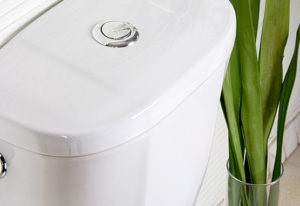 Instalarea și repararea bolului de toaletă la Moscova la prețuri mici