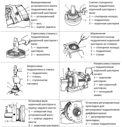 Puterea de ridicare a arborilor mtz-80 și mtz-82 numirea și repararea, revista despre apk