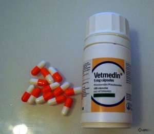 Ветмедін (таблетки, капсули) для собак, відгуки про застосування препаратів для тварин від ветеринарів