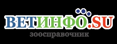 Ветмідін таблетки для кішок - загальні відомості, дозування, спосіб застосування, протипоказання