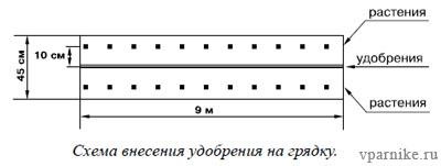 Plantarea răsadurilor în paturile de semințe și semințele de însămânțare utilizând metoda mitlayer