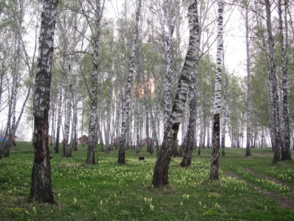 Водоспад біля річки пещерка, алтайський край