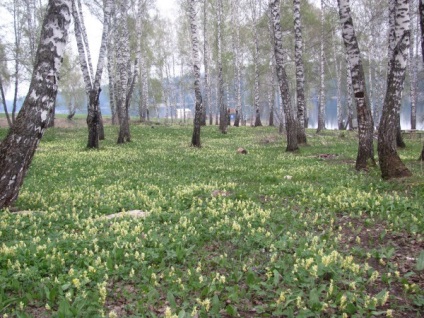 Vízesés barlang a folyón, Altay