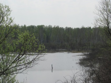 Водоспад біля річки пещерка, алтайський край