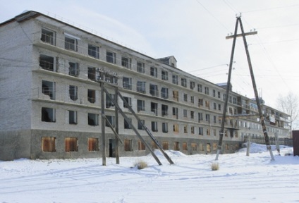 Виховання і натаска первопольной лягавою